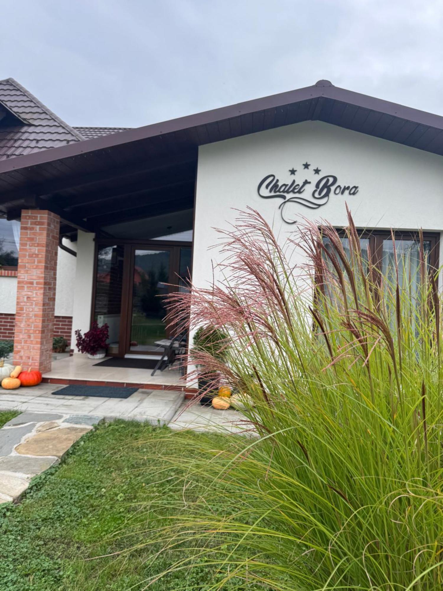 Chalet Bora Viseu de Jos Exterior foto