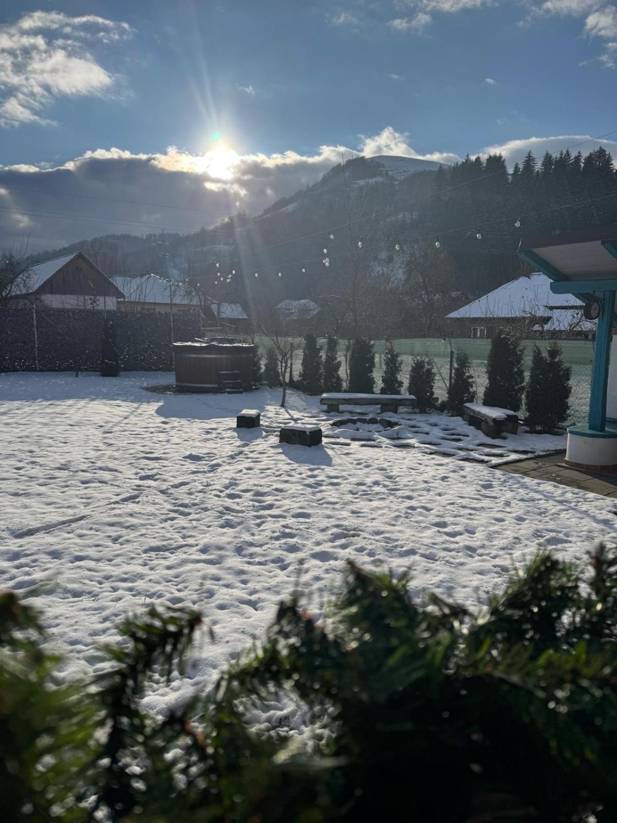 Chalet Bora Viseu de Jos Exterior foto