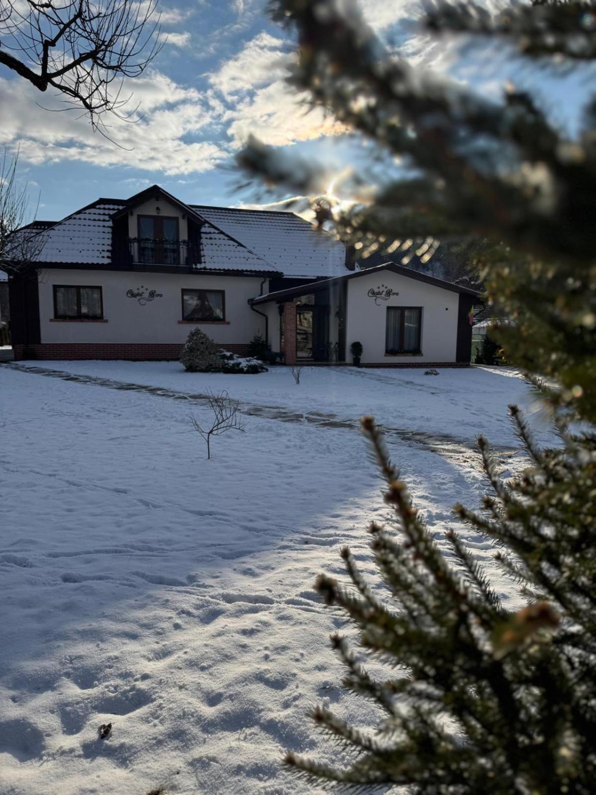 Chalet Bora Viseu de Jos Exterior foto